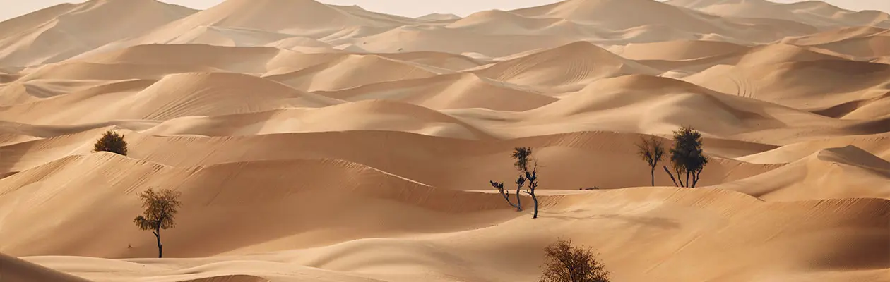 Esperienze da vivere nella regione di Abu Dhabi