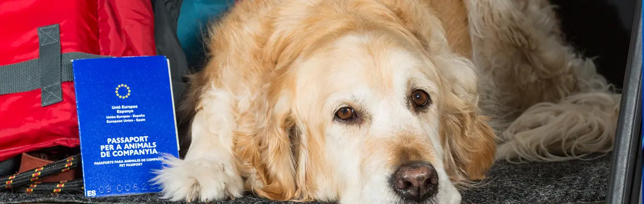 Passaporto per gli animali domestici