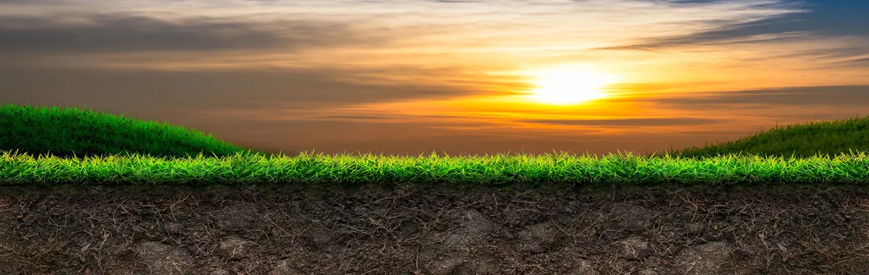 Il suolo non è una vittima ma la soluzione ai cambiamenti climatici