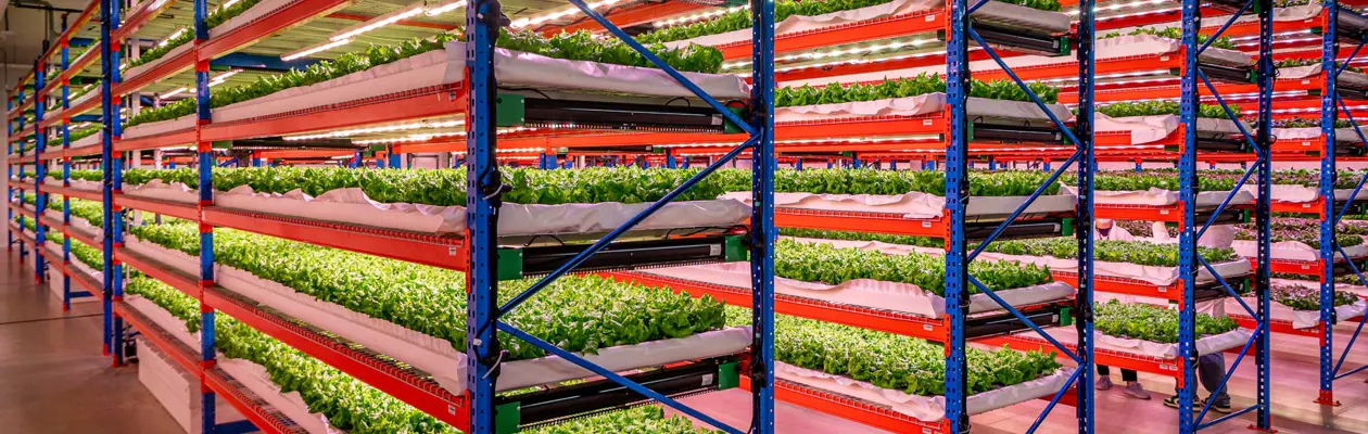 Emirates Flight Catering ha acquisito Bustanica