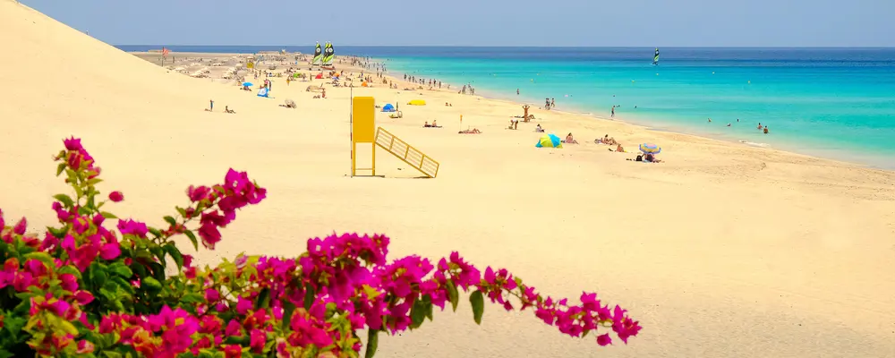 Dieci idee per scoprire le Canarie