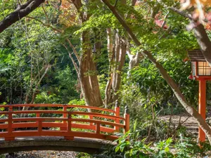 La valle di Todoroki: un'oasi di pace a Tokyo