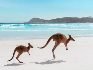Western Australia: cosa vedere tra laghi rosa e meraviglie naturali