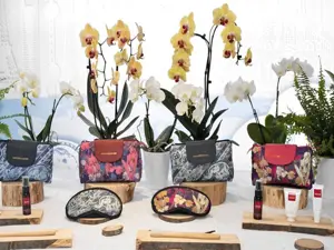 Amenity Kit di Thai Airways con Sirivannavari