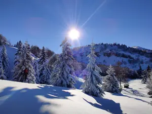 Trentino: proposte invernali a Trento, Monte Bondone e Valle dei Laghi