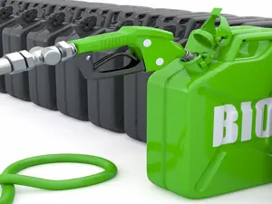 Biocarburanti per l’aviazione