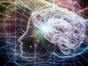 La mente meditante. Art, Science, and an Enlightened Mind