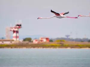 Traffico in crescita per l'Aeroporto di Cagliari