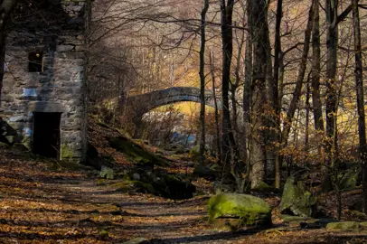 PEFC Italia svela i vincitori italiani del concorso fotografico dedicato alle foreste