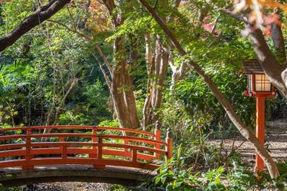 La valle di Todoroki: un'oasi di pace a Tokyo