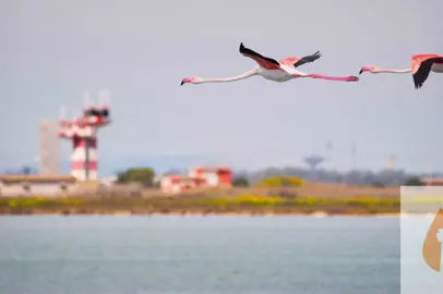 Nuova certificazione ambientale per l'aeroporto di Cagliari