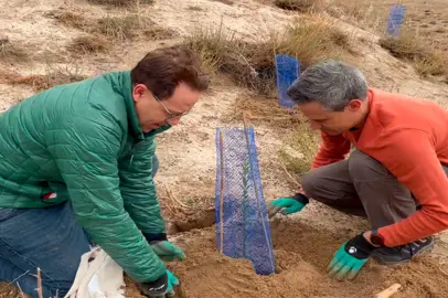 La foresta di Iberia a Paracuellos del Jarama