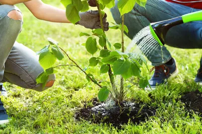 Il Parco “Tommaso Forti” di Fiumicino si arricchisce di 100 alberi