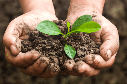 La salute del suolo è una soluzione al cambiamento climatico