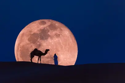 Esperienze nel deserto del Qatar