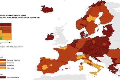 Aggiornamento delle norme per la circolazione nell'EU