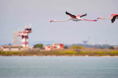 Eventi all'Aeroporto di Cagliari