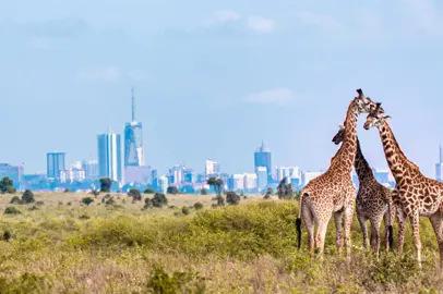 flydubai amplia i collegamenti con il Kenya
