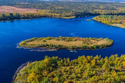 Viaggio lento: vita artica nella natura della Lapponia svedese