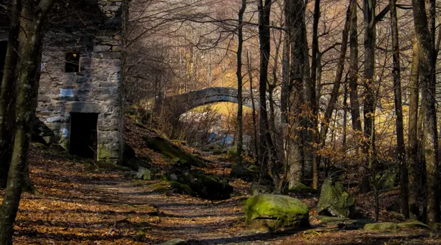 PEFC Italia svela i vincitori italiani del concorso fotografico dedicato alle foreste