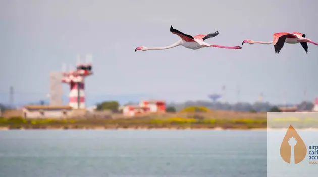 L'aeroporto di Cagliari si rinnova