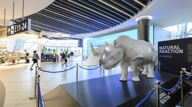 A Fiumicino la “Natural Reaction” by Marcantonio