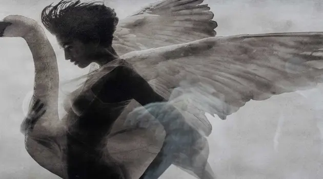 Rara Avis. Moda in volo alle Uccelliere Farnesiane