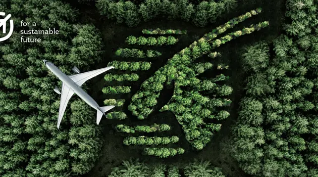 Qatar Airways e la compensazione delle emissioni di carbonio