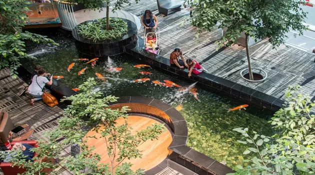 La “Changi Experience 2025”