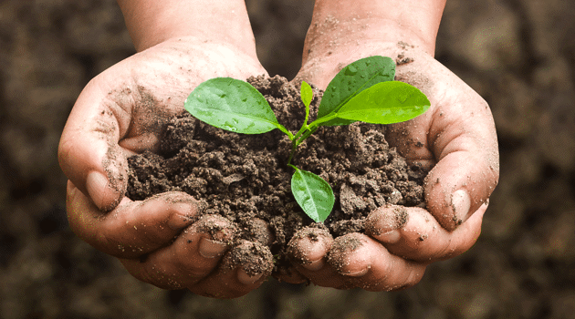La salute del suolo è una soluzione al cambiamento climatico