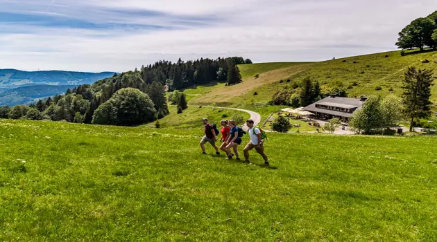 Foresta Nera in bici e a piedi