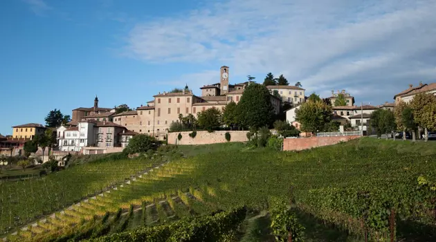 Le Colline del Barbaresco: terra di vini e storia tra Barbaresco e Neive