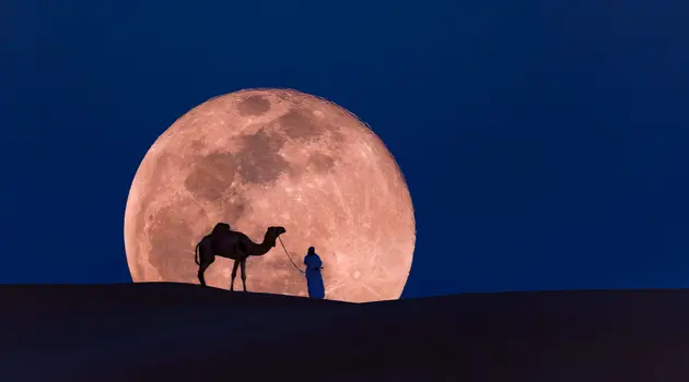 Esperienze nel deserto del Qatar