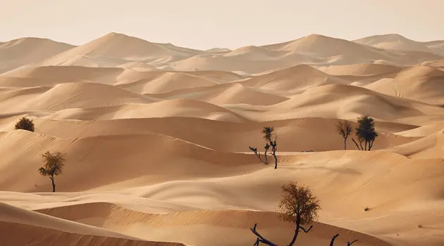 Esperienze da vivere nella regione di Abu Dhabi