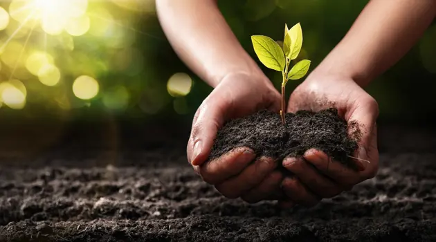 Salvare il suolo per salvare l'ambiente