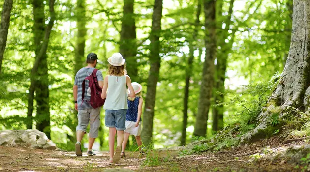 "Cammini Aperti": il più grande evento nazionale dedicato ai cammini