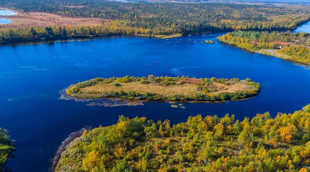 Viaggio lento: vita artica nella natura della Lapponia svedese