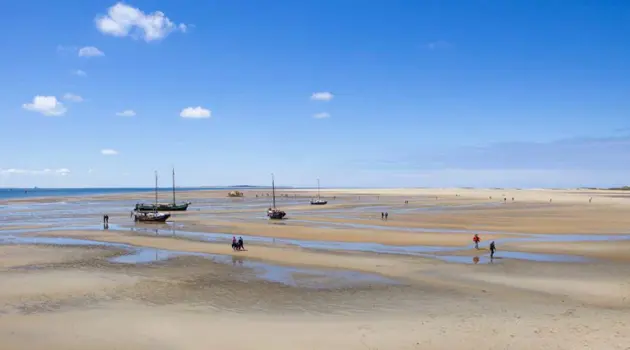Il Mare di Wadden