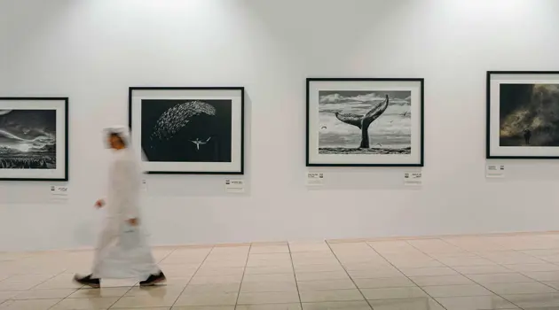 All'aeroporto di Dubai una mostra del fotografo Chris Fallows